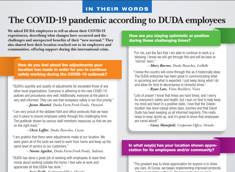 Company Newsletter: The COVID-19 Pandemic According to DUDA&nbsp;Employees