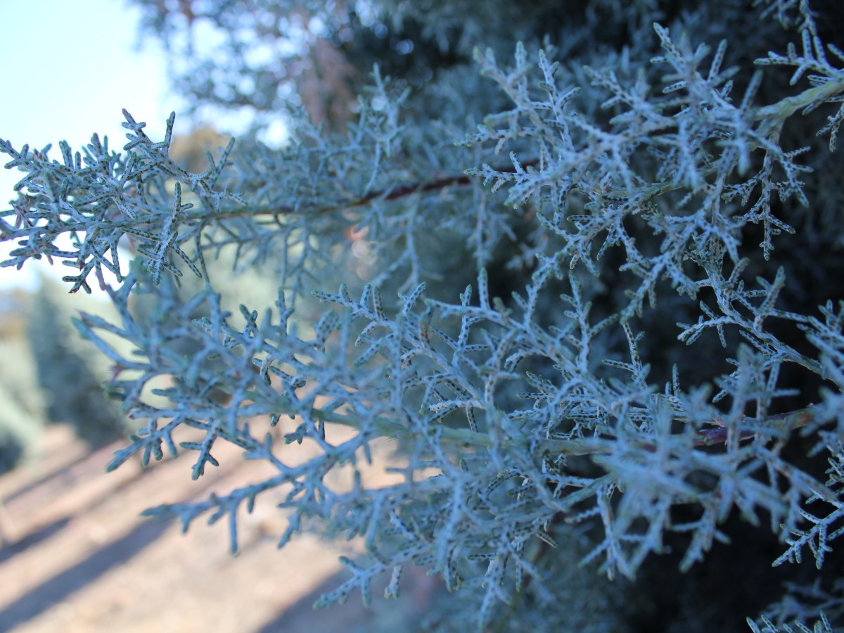 New Things, Old&nbsp;Things